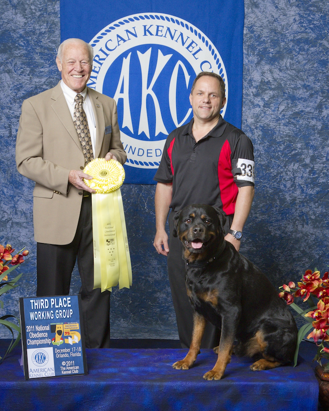 what akc group is the rottweiler in